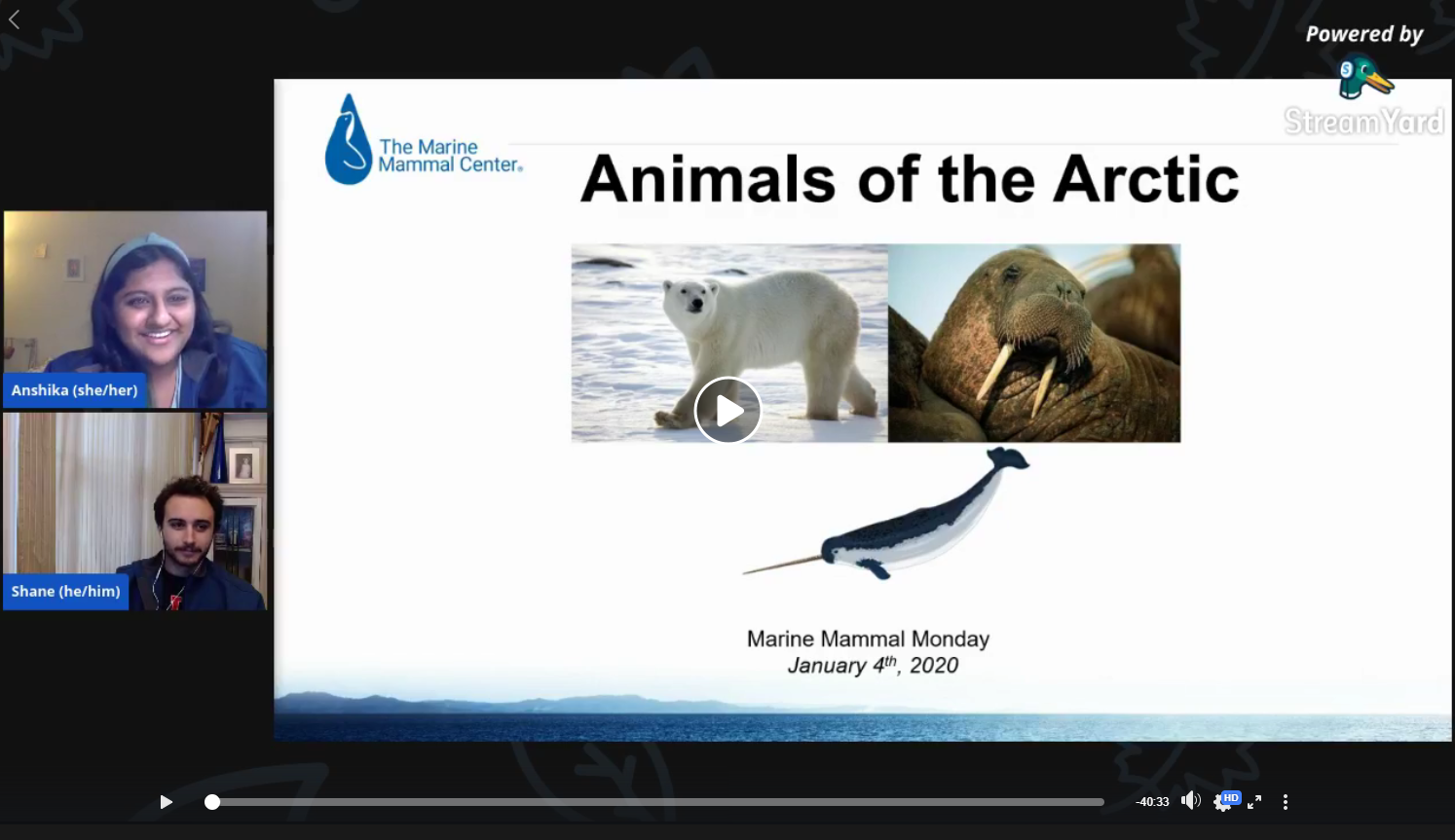 Animals of the Arctic