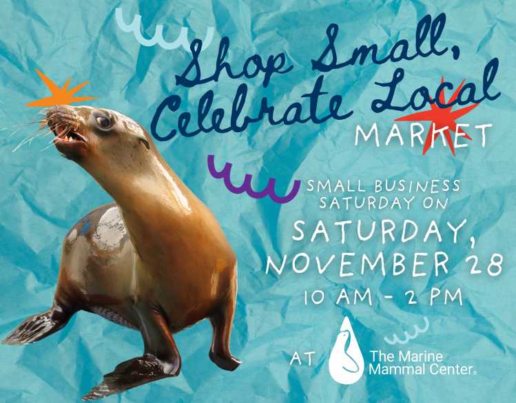 Shop Small, Celebrate Local Market