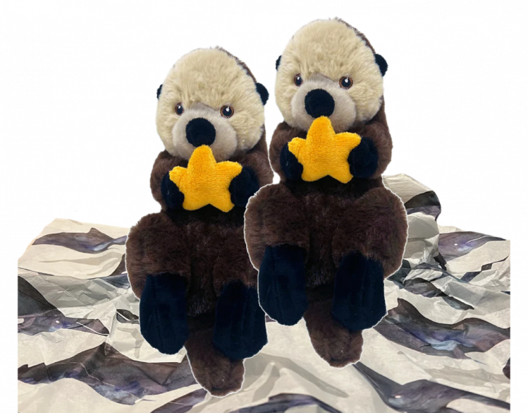 Adopt a Seal Langly and Sprout Plushies