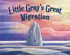 Little Gray's Great Migration book cover with whale visible above the water