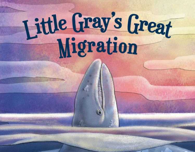 book cover with title and illustration of a gray whale with its head out of the water