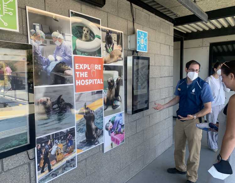 An educator shows a guest an interactive map of a marine mammal hospital.