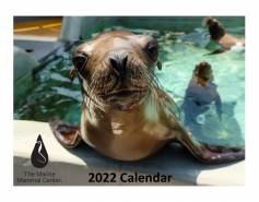 2022 calendar with California sea lion on the front