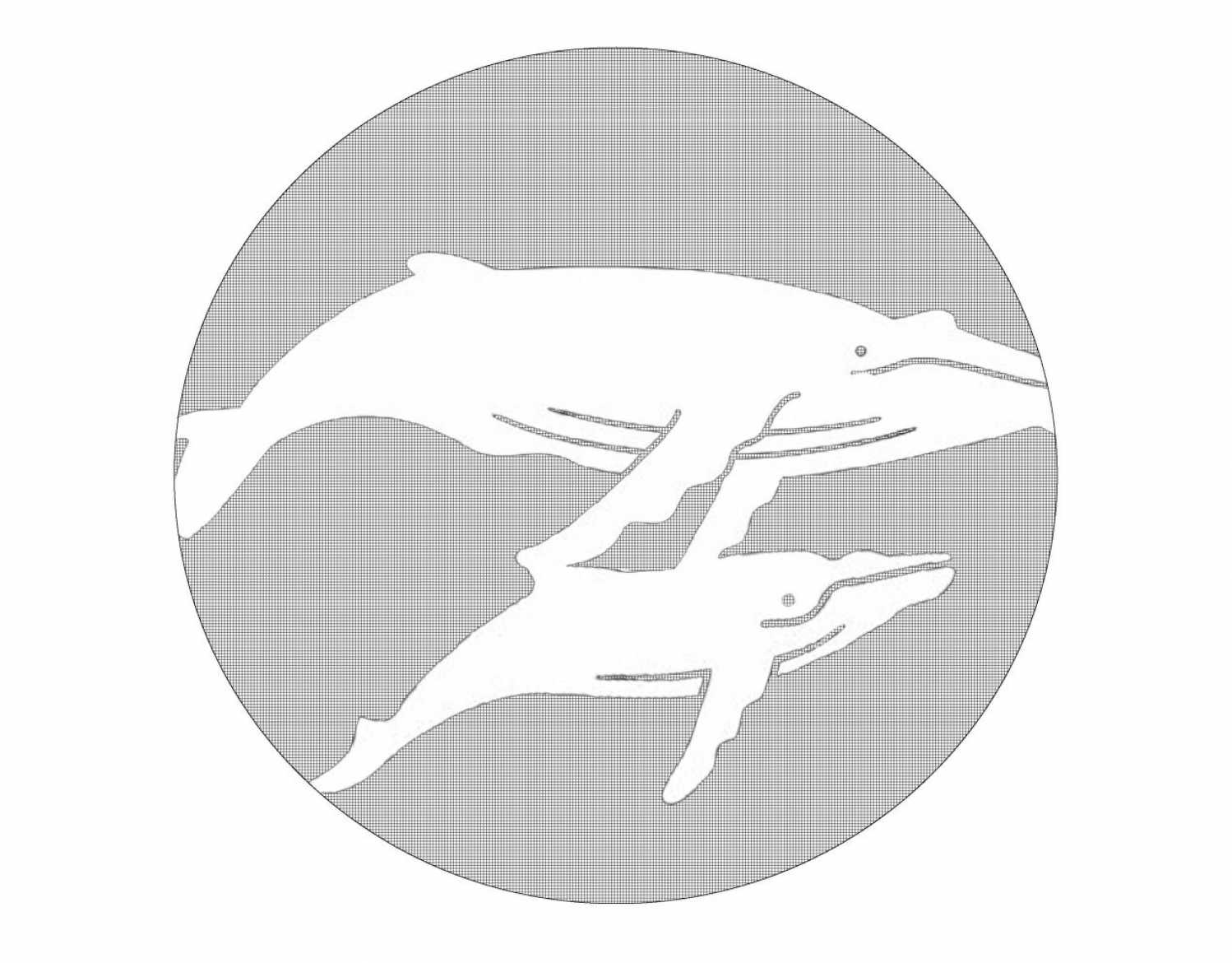 Pumpkin-Carving Stencils | The Marine Mammal Center