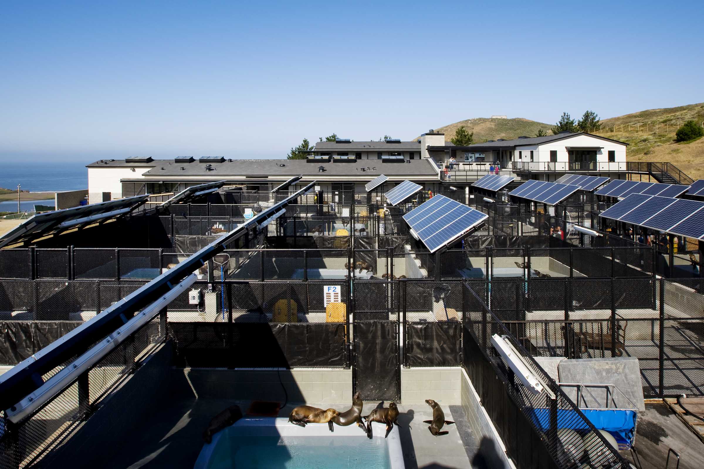 The Marine Mammal Center | Getting Here