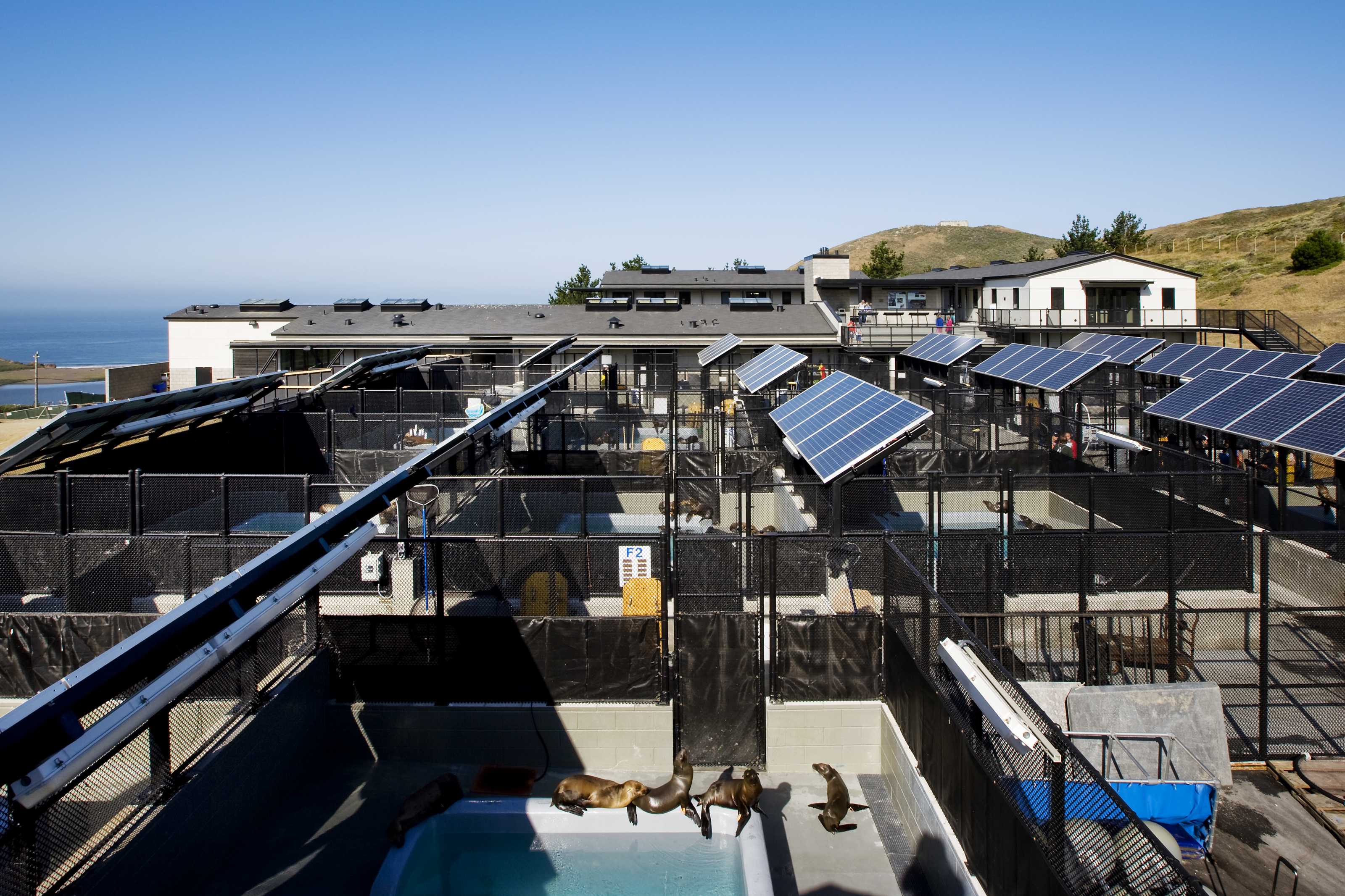 Getting Here The Marine Mammal Center