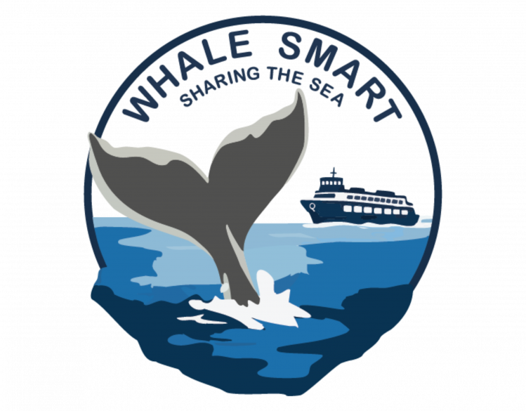 Whale Smart logo