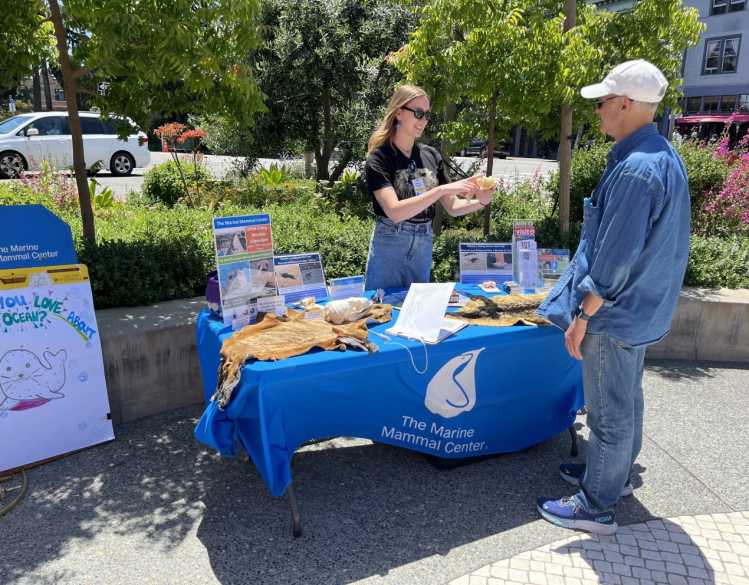 table set up with educational materials