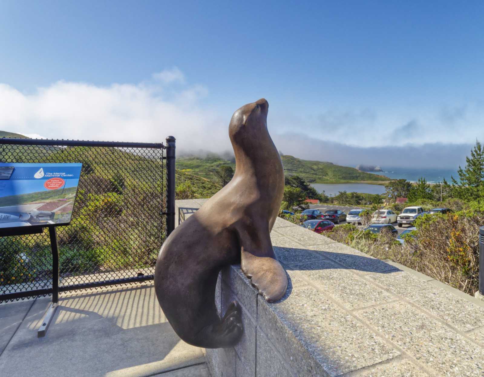 the marine mammal center front patio
