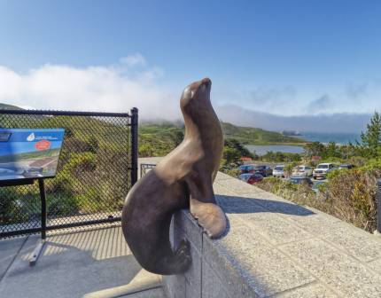 the marine mammal center front patio