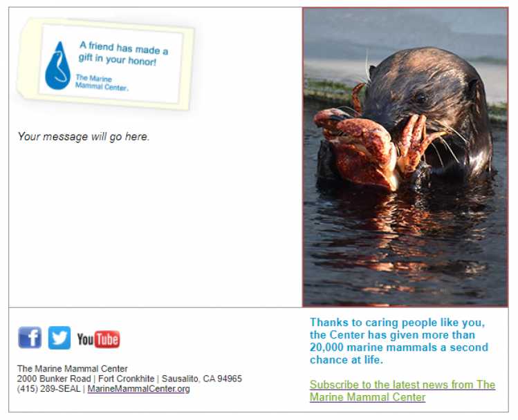 sea otter e-card