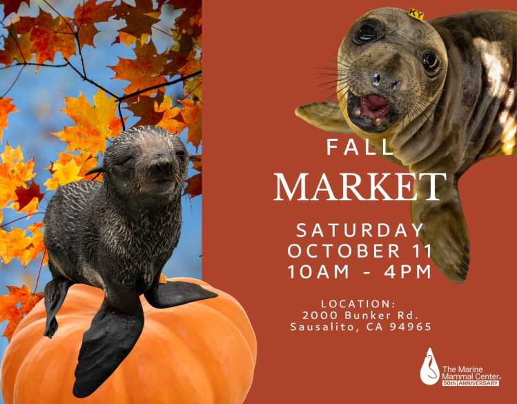 Fall Market