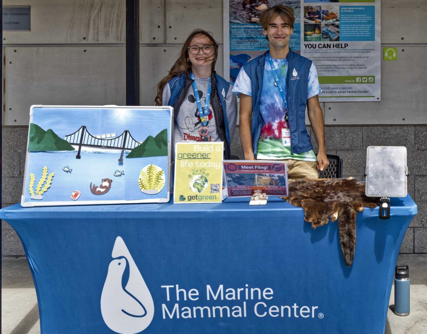 Achievements in Ocean Health | The Marine Mammal Center