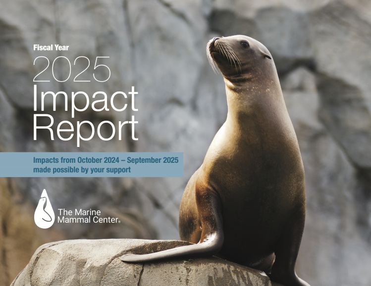cover 2025 impact report