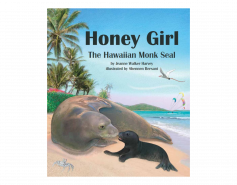 Honey Girl The Hawaiian Monk Seal