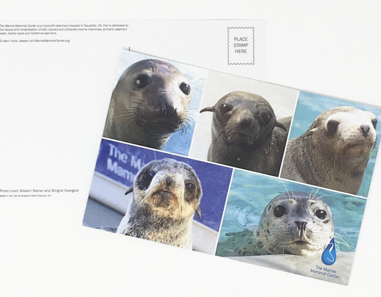 postcard with patient photos