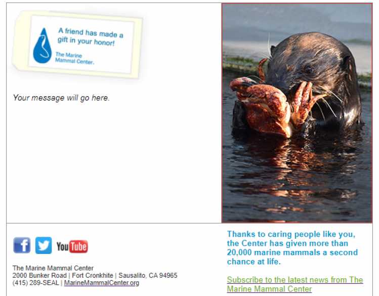 sea otter e-card