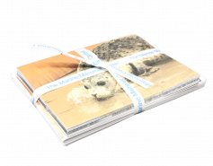 set of cards with patient images