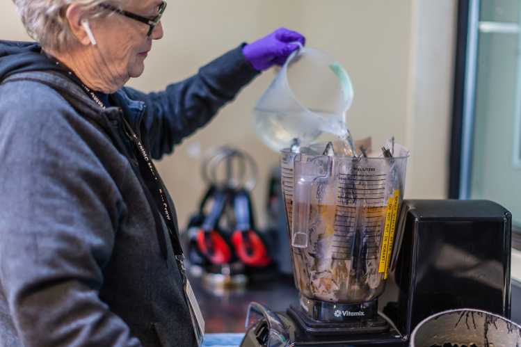 An animal care volunteer pours water into a blender filled with fish.