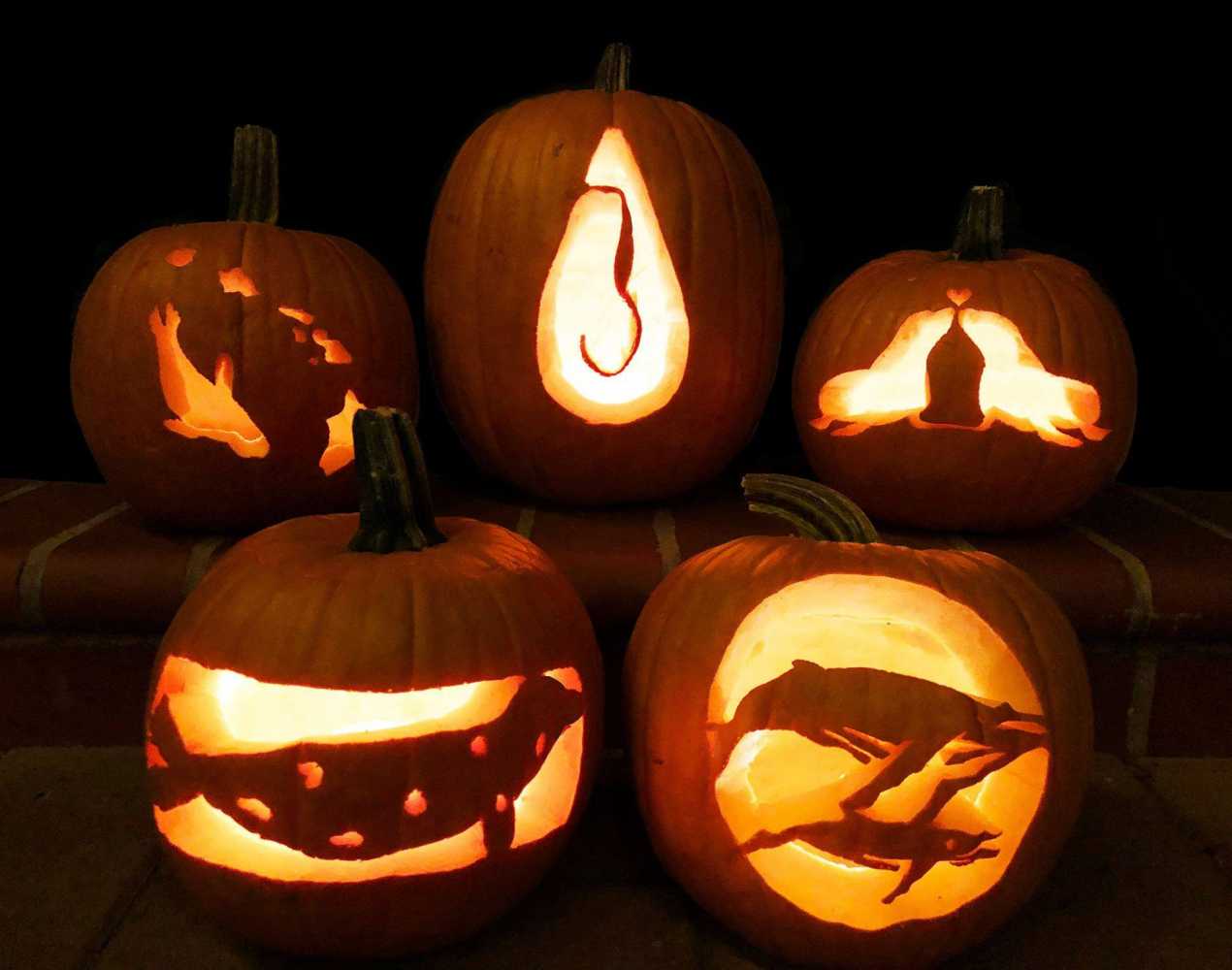 pumpkin-carving-stencils-the-marine-mammal-center