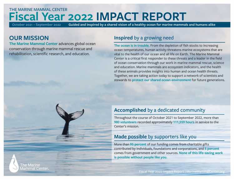 cover of 2022 impact report with text overlay on whale tail image