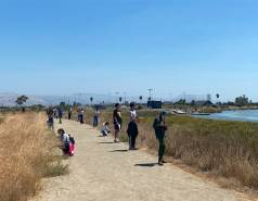 Stewardship Saturday: Uncovering the Wonders of Wetlands