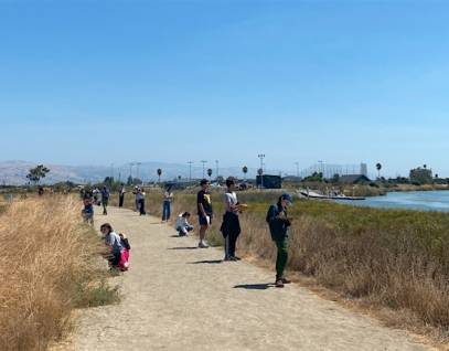 Stewardship Saturday: Uncovering the Wonders of Wetlands