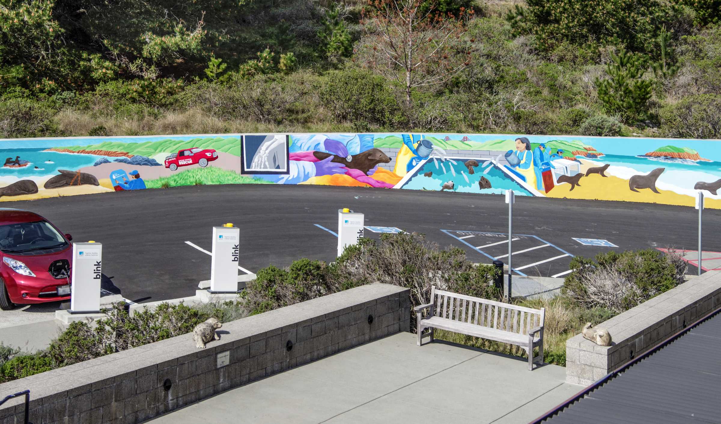 Accessibility The Marine Mammal Center