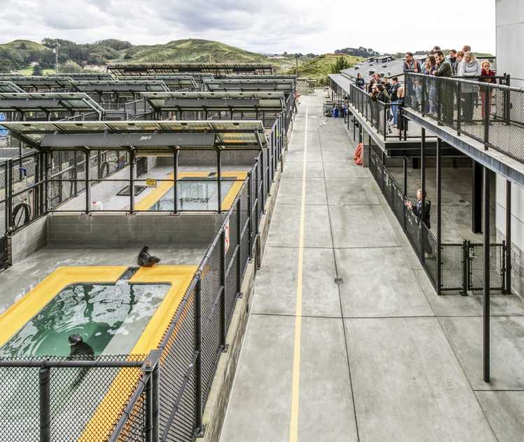 view of patient pens and observation deck