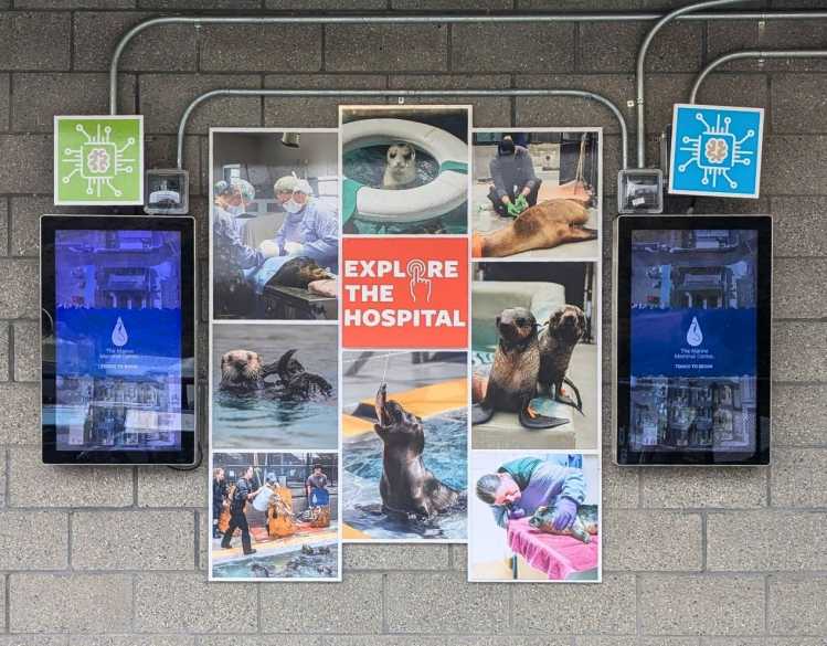an educator shows a guest the interactive hospital map