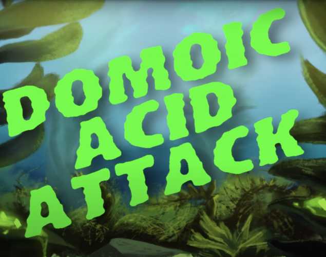 Domoic Acid Attack