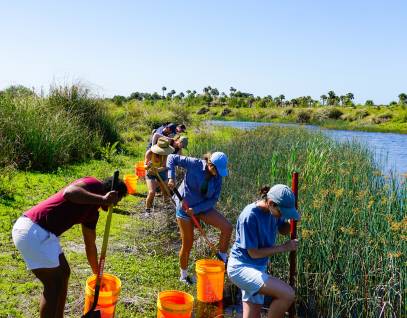 young people working to restore a wetland area