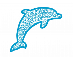 Alice Frost dolphin sticker