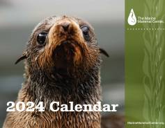 2024 calendar cover featuring northern fur seal image