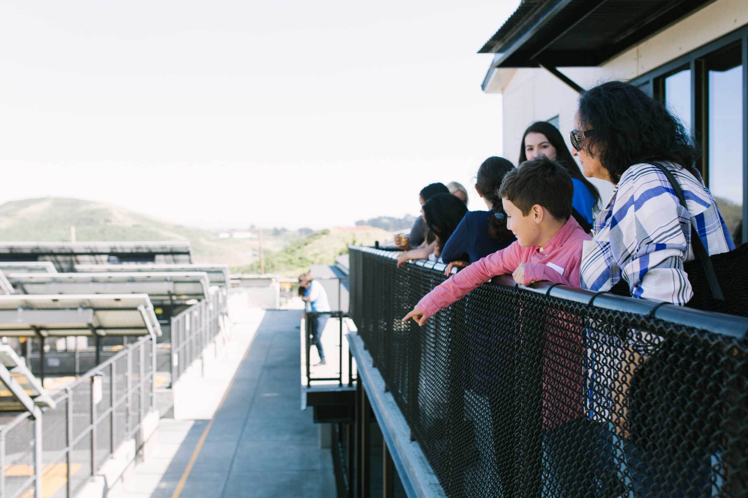 Seeing Our Patients The Marine Mammal Center