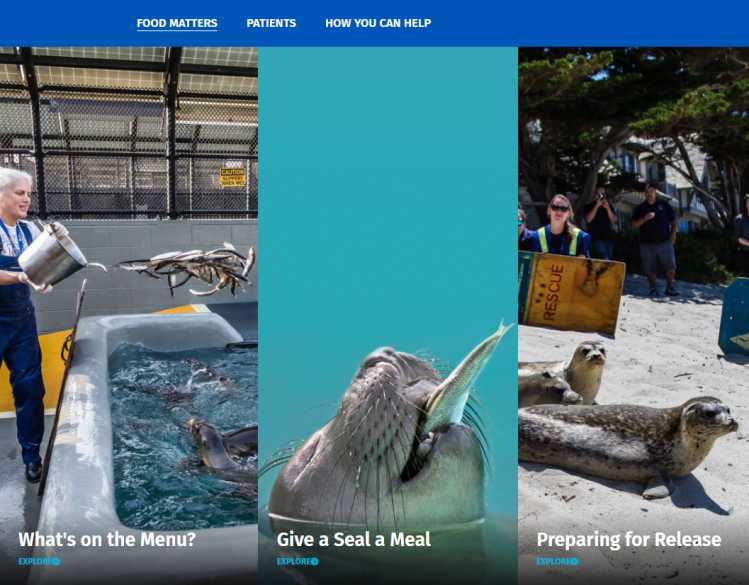 screenshot from Fish Kitchen Kiosk showing several images of patients