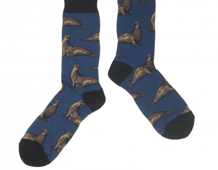 two elephant seal socks -- one shorter and light blue and one taller and darker blue