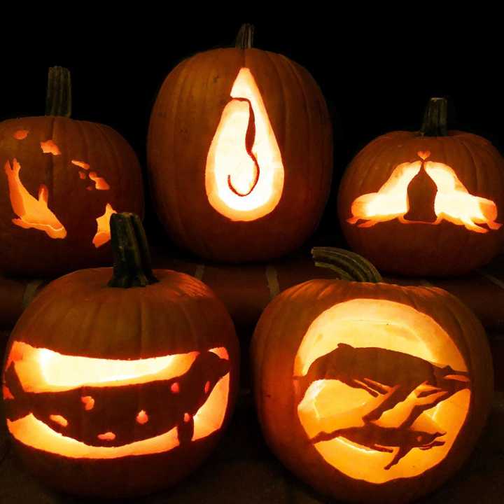 Pumpkin Stencils