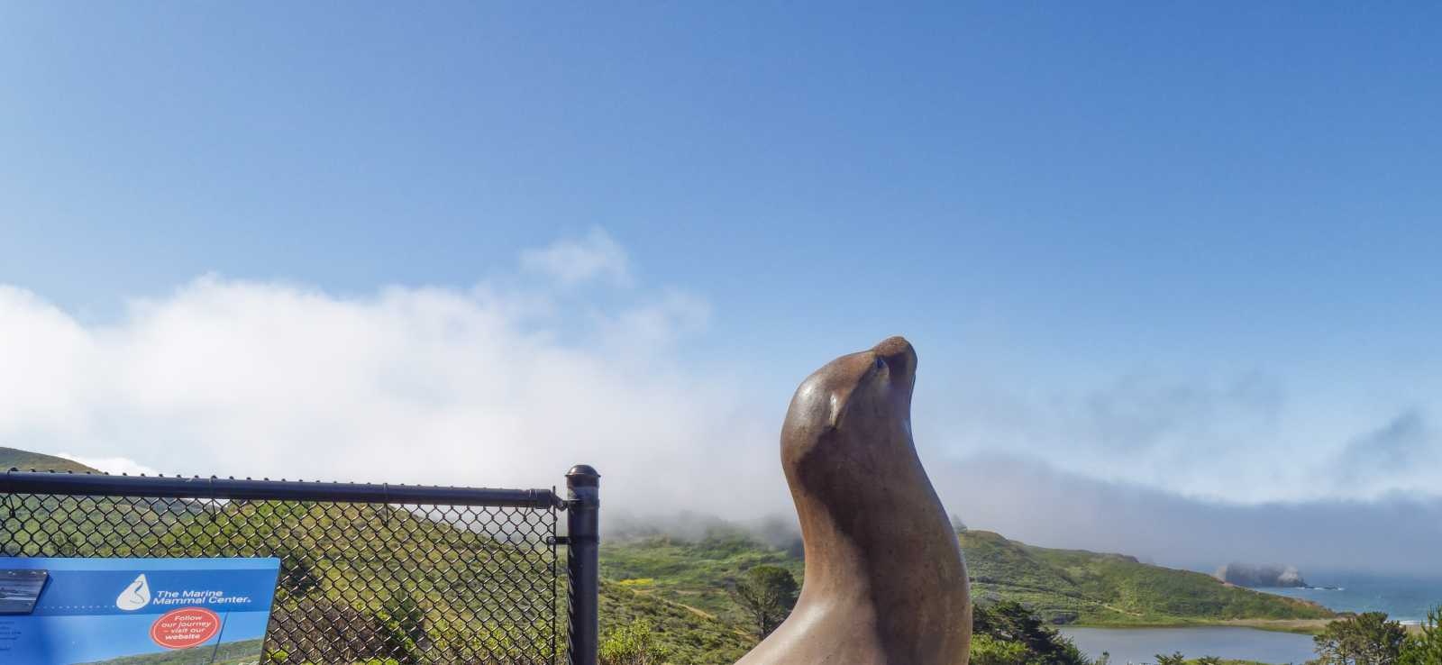 the marine mammal center front patio