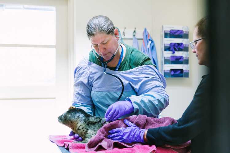 Dr. Cara Field performing an eye exam