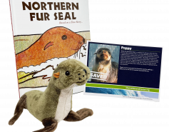 northern fur seal Poppy Adopt-a-Seal certificate, book and plush