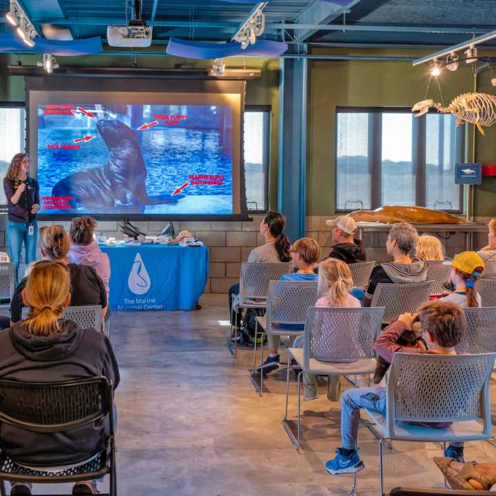 Marine Science Sunday