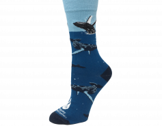 whale socks