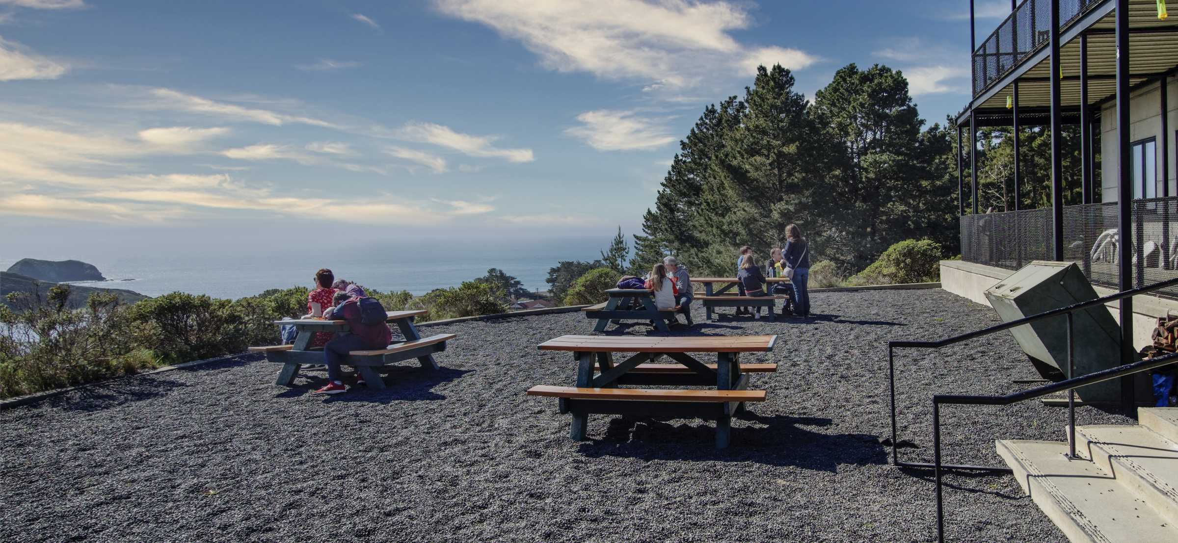 The Marine Mammal Center Reopens with Significant Renovations | The