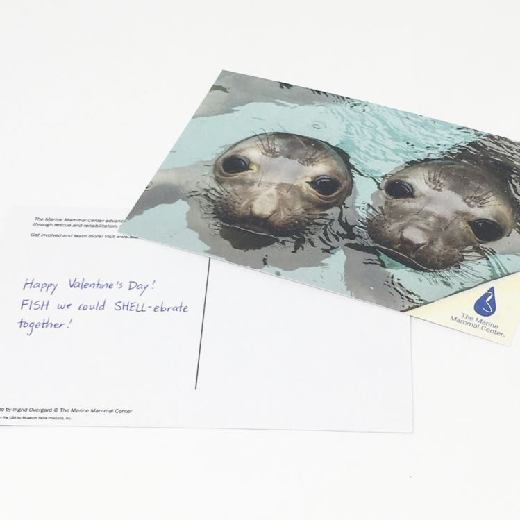 Postcard service