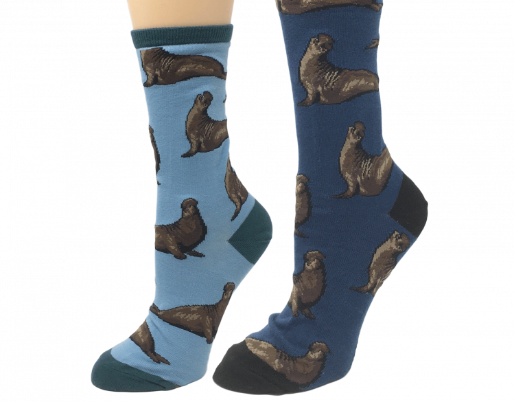 two elephant seal socks -- one shorter and light blue and one taller and darker blue