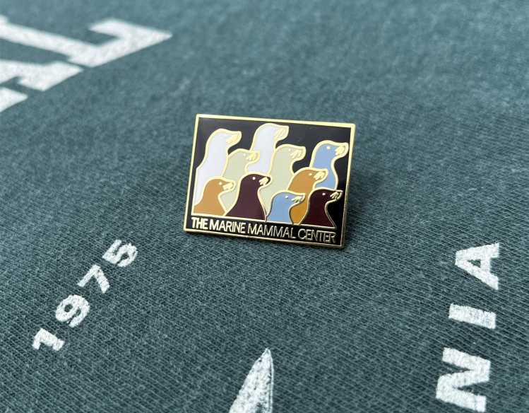 rectangular lapel pin with 10 sea lions and The Marine Mammal Center
