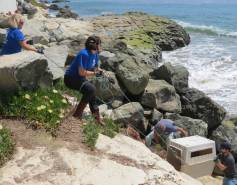 MBO crew carrying a crate up a cliff