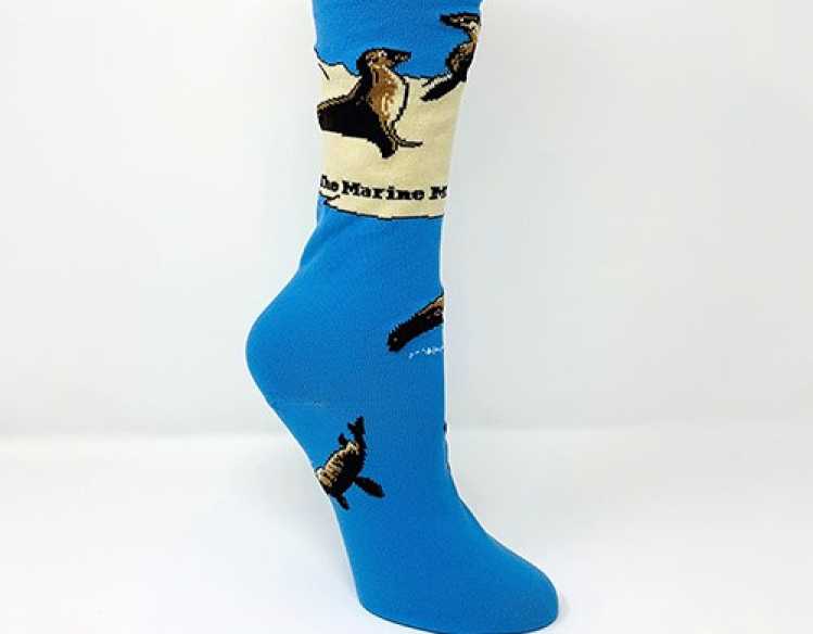 blue sea lion socks