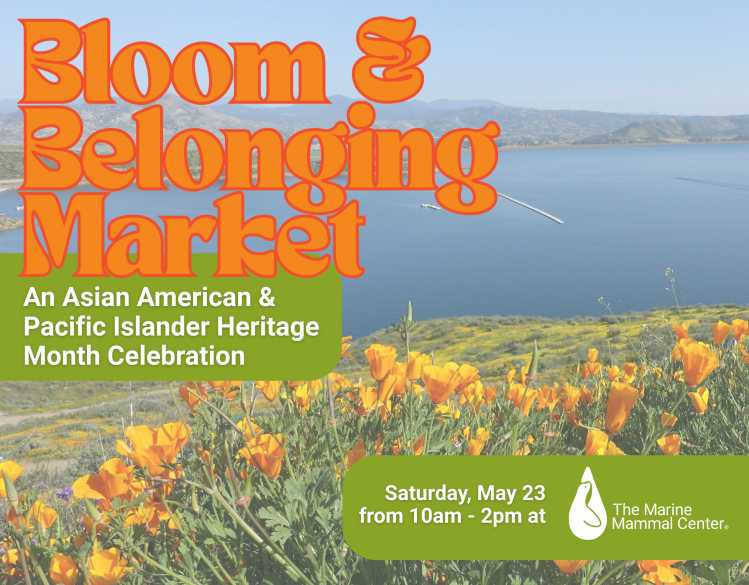 Bloom & Belonging Market